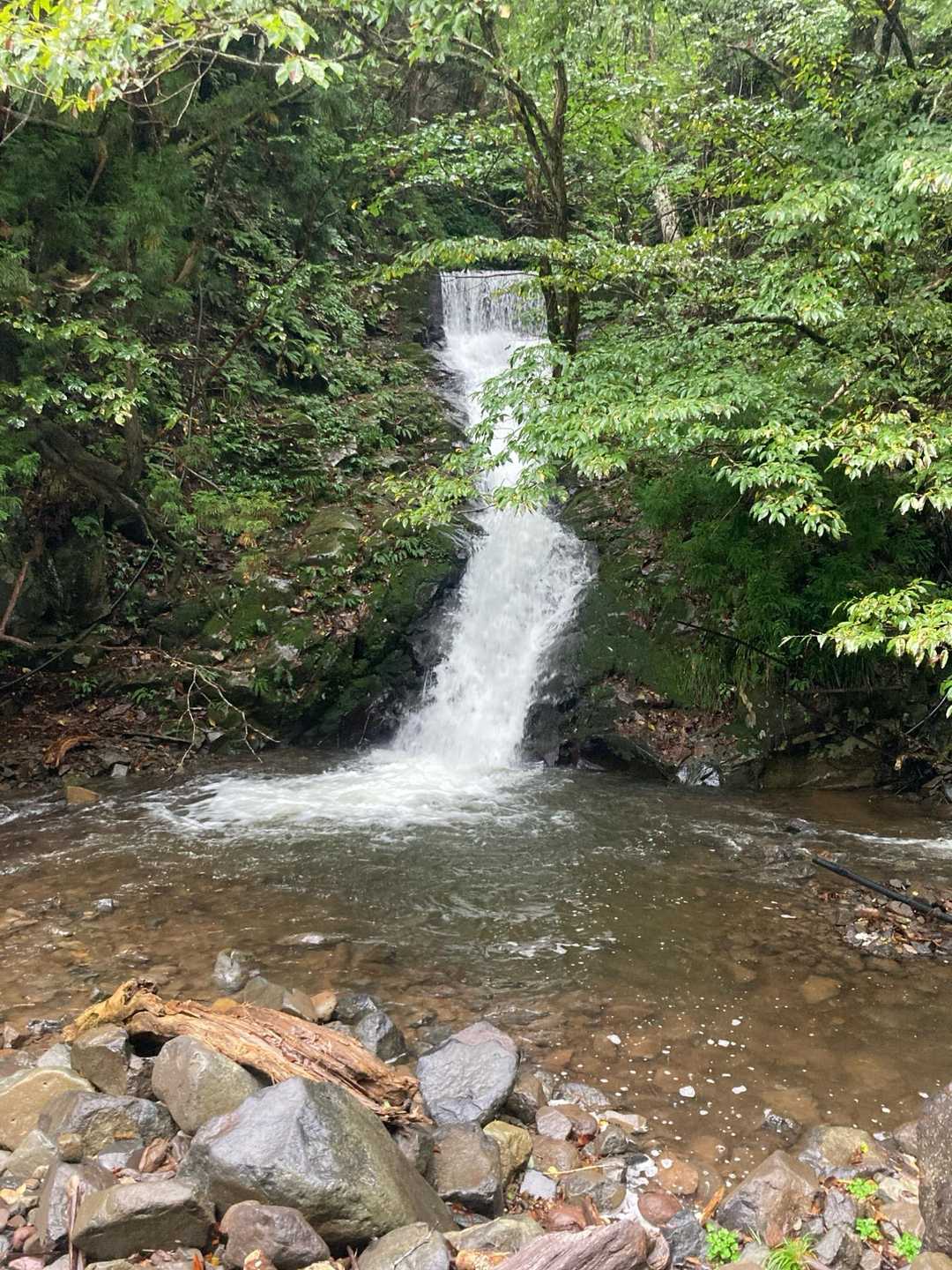 氷ノ山登山口-地蔵堂-小代越-ハチ高原バス停 縦走コースの写真