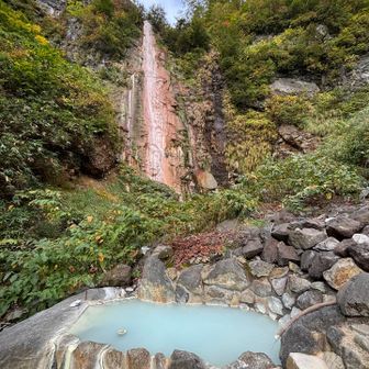 滝見の湯♨️    コレは入らな　　
景色ヨシ　お湯ヨシ　混浴ヨシ