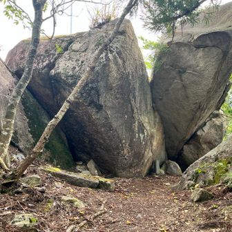 山頂　厳つい配置の岩