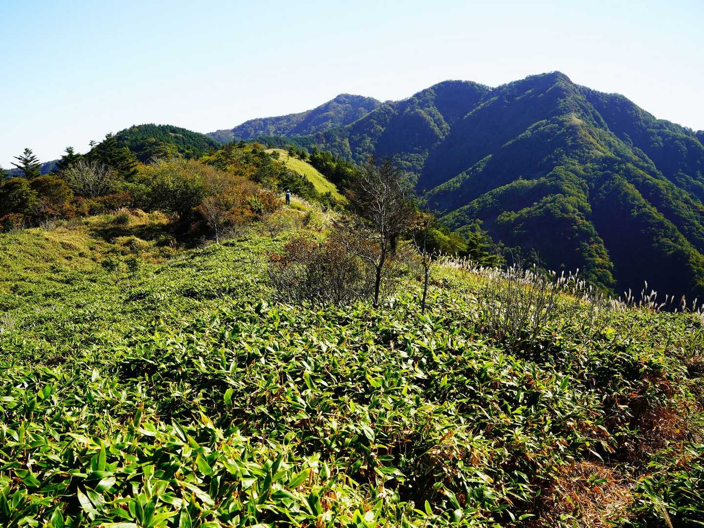前方にサガリハゲ山