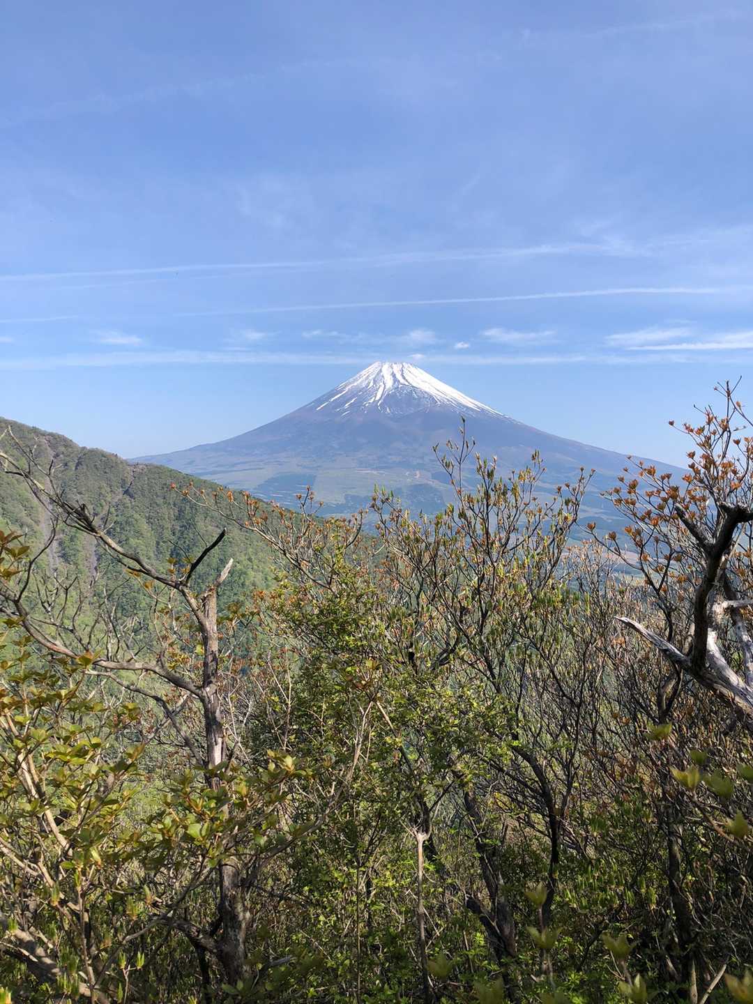 前岳から位牌岳へ向かう尾根道にはツツジが多く、1週間後位には見ごろになりそうです。