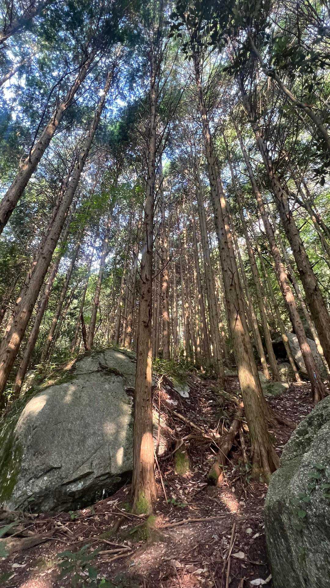 斗升登山口-岳山-前岳 周回コースの写真