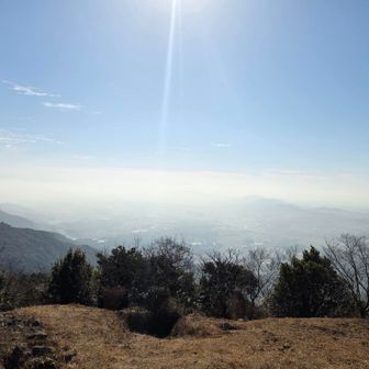 お弁当を広げている人がたくさんいました
今日は暖かくて（暑い）気持ちがいい😄