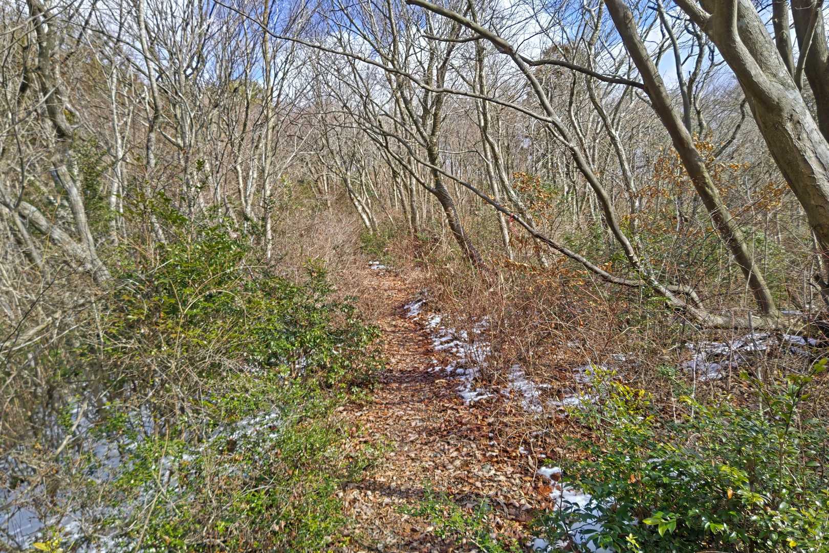 烏帽子岳 往復コースの写真