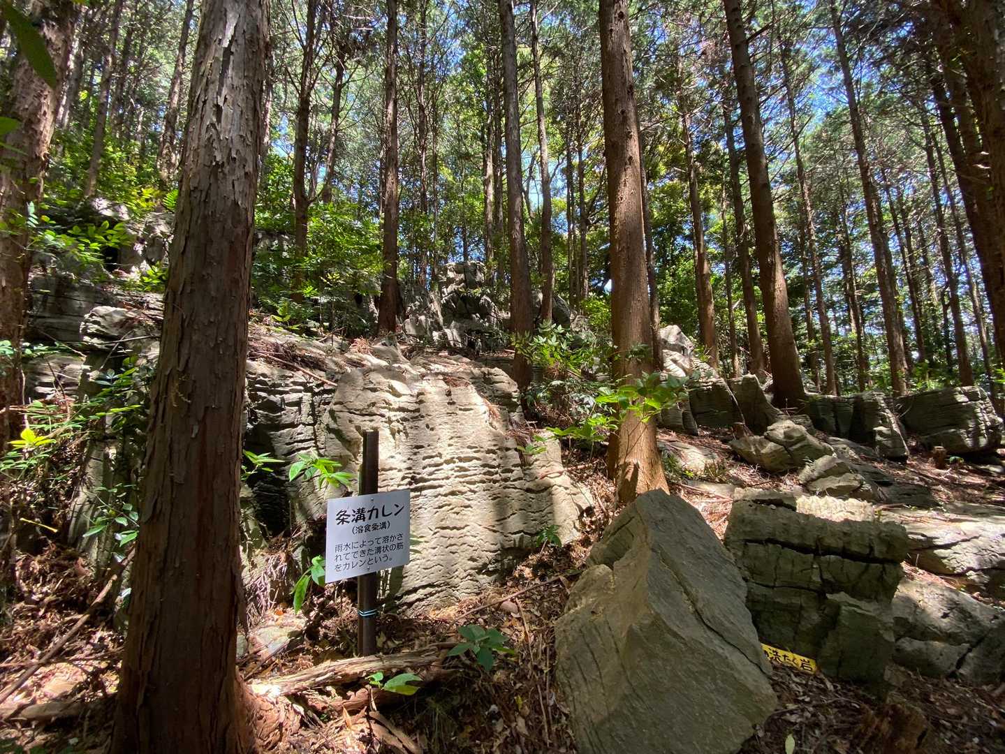 気がつけば
道を外れて
岩の中🪨