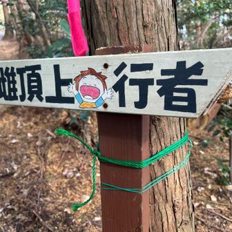 ちょこちょこ看板があるのは助かります。セミの抜け殻付き。