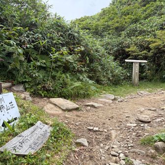 山頂と小谷温泉登山口行きの分岐点