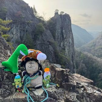 おはようございます