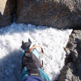 ここまで連れてきてくれたアイゼンにも感謝🙏