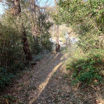 さ、下山しましょう。