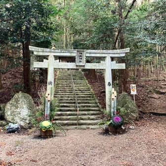 新年おめでたい🎊