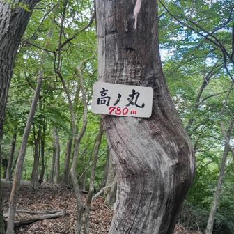岩殿山へ向かう道にある小ピーク。標高差100メートル程を登り返して着いた。