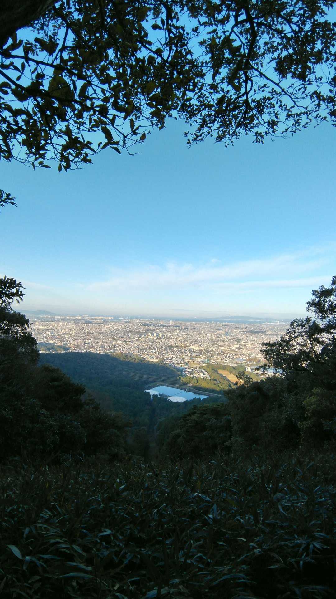 山友のフィールドメモを参考に探しました。
探したということは藪漕ぎです💦