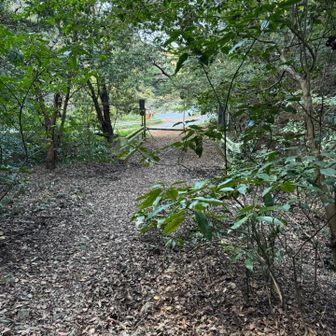 ケヤキ谷登山口に到着。