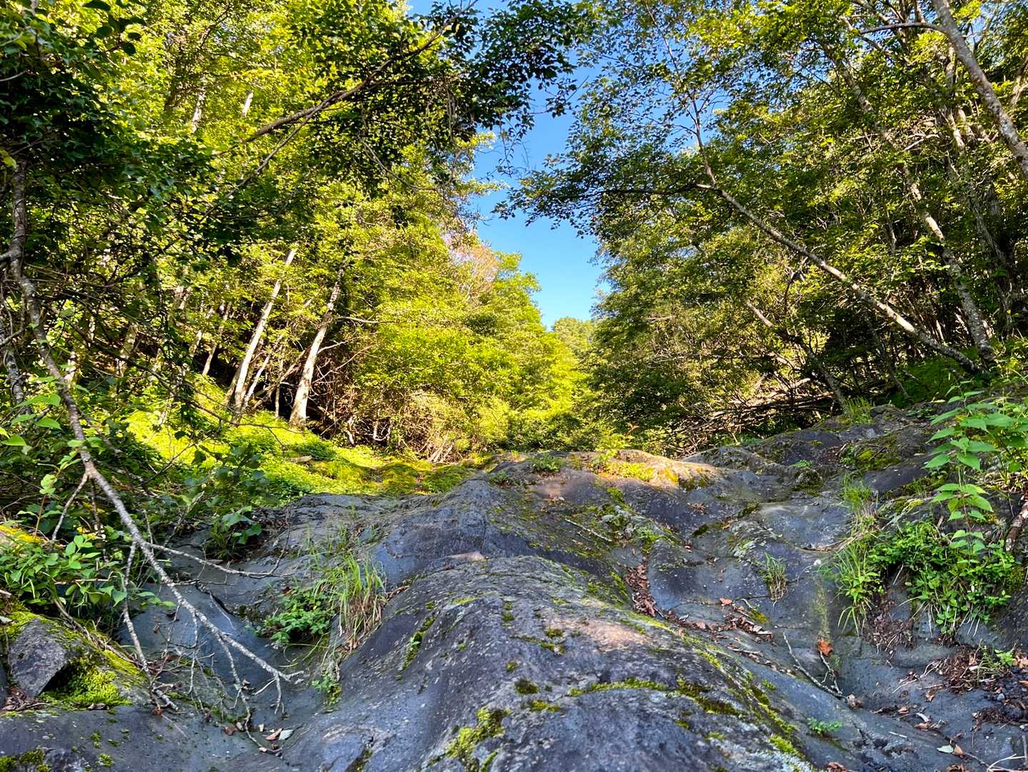 溶岩が溶けて重なった岩を登ります。