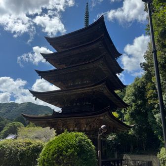 瑠璃光寺も裏から撮影
人多めでした