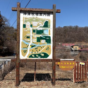 神津牧場でお昼を食べようと思ったが、プリンやアイスなどしかやってませんでした。
冬季は鉄板焼きは休み