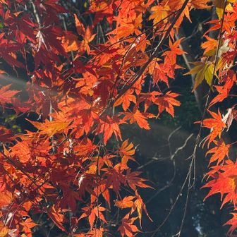 なんとか下山 相変わらず急よね笑