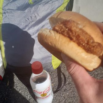 ちょいちょいコンビニがあるので、お昼はファミチキバンズとコーラ
自販機とかトイレも充実してる今日のルート
なんならすき家とかあるし笑
