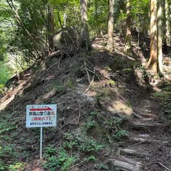やっと登山道らしき道へ😁

先から胸の鼓動がズキズキ🫪❗️するなと思ったら「胸突八丁」だからか〜🤣