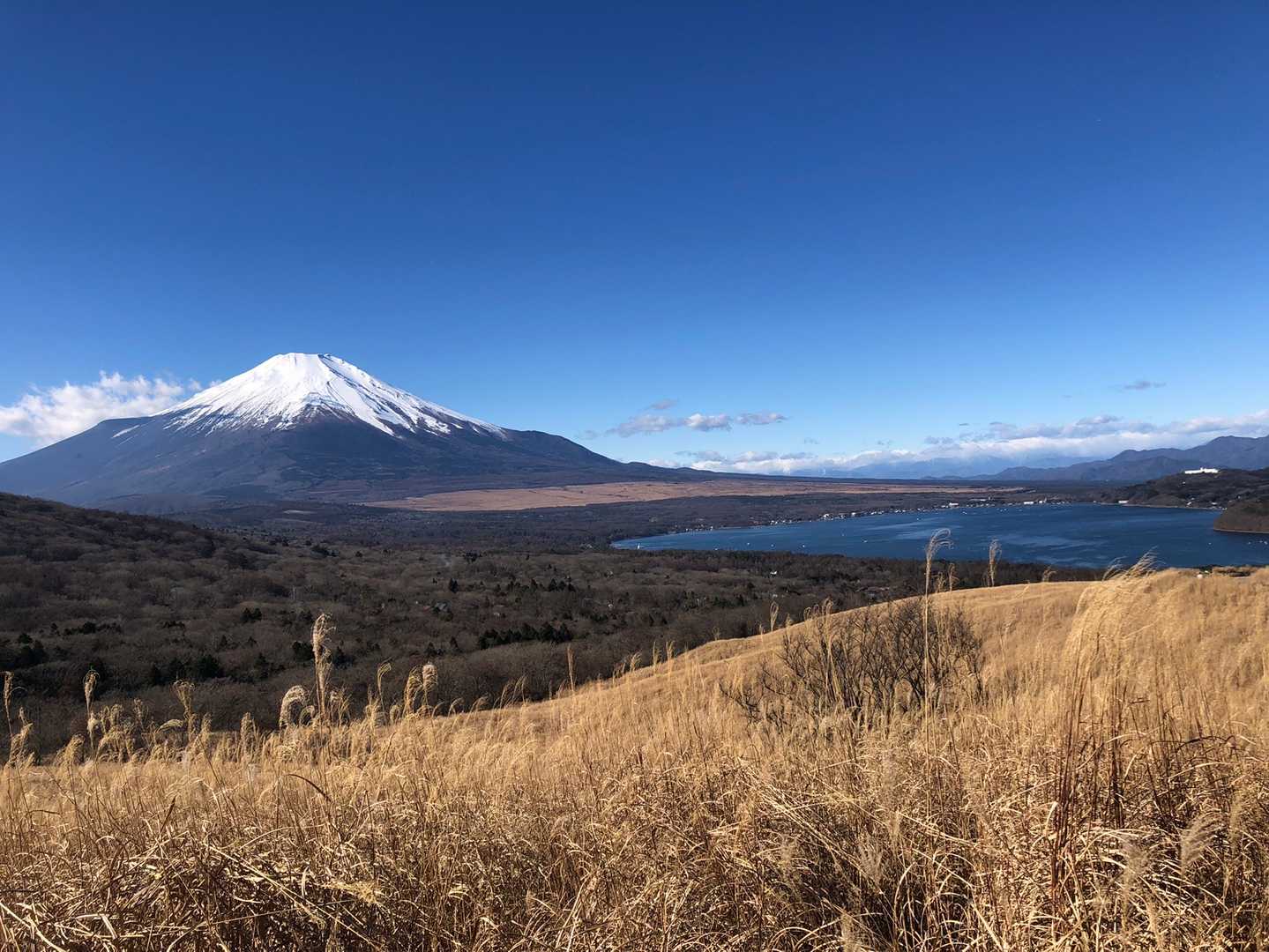下って来て眺望ポイントから