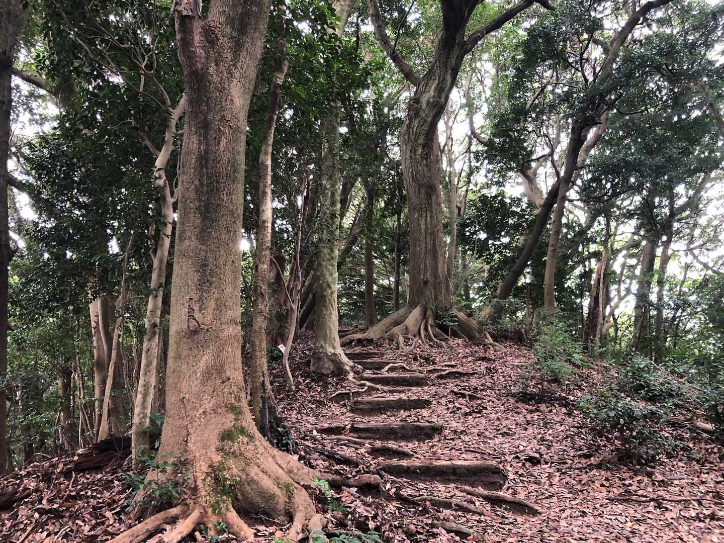 涼しいよ、