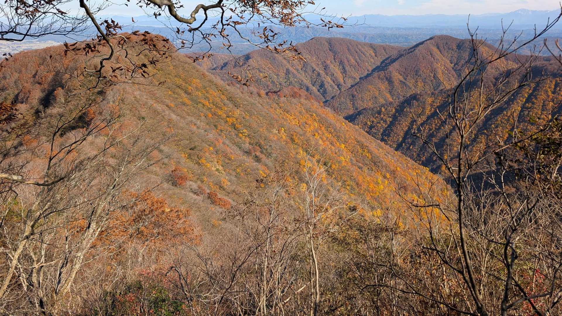 米山（谷根コース登山口）＜谷根コース＞の写真
