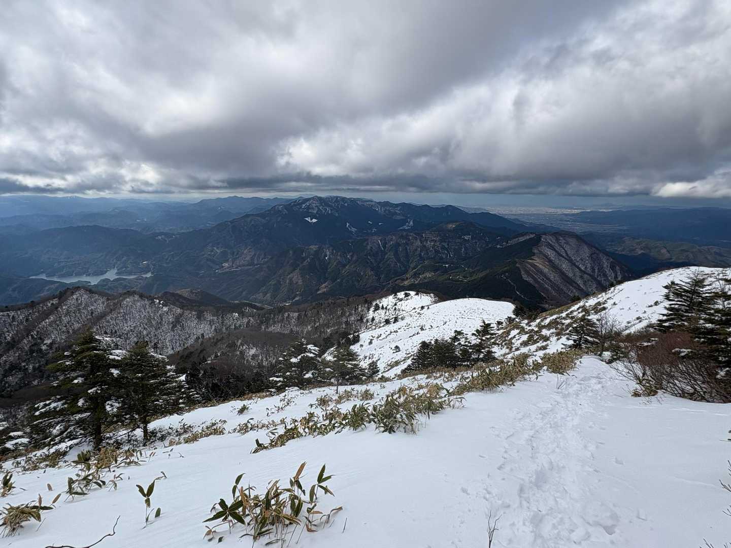 保井野登山口-堂ヶ森 往復コースの写真