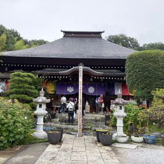 立派な本堂周りにはたくさんのハスが。他にも様々な花が楽しめるようになっていた