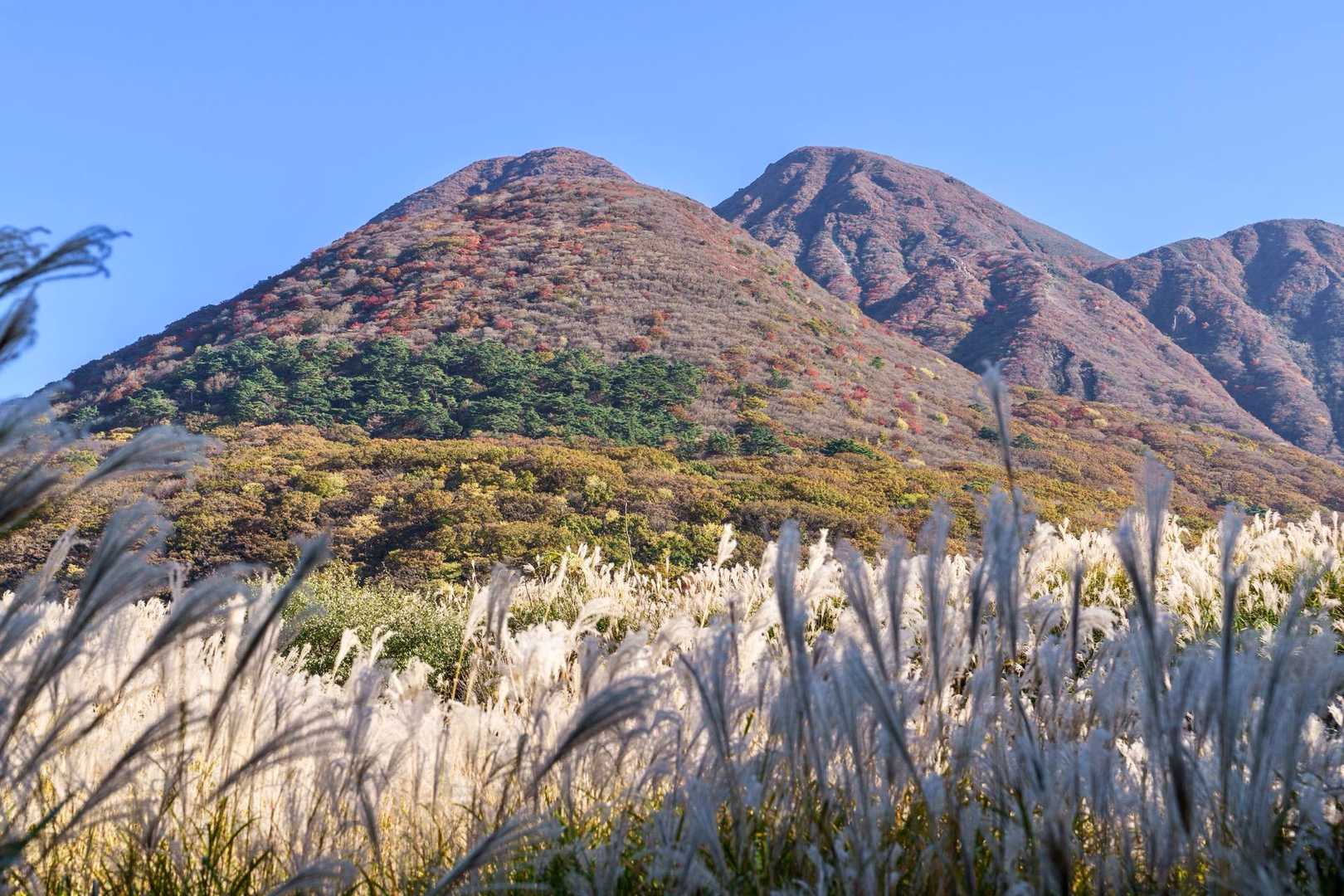 無事に下山
ありがとうございました⛰️

この後、三俣山が綺麗に見える温泉♨️へ
そこから帰路につく

小さな事は色々あったけど、終わりよければ全てよしだね😊
2日間ありがとう😊お疲れ様でした！

おしまい♪