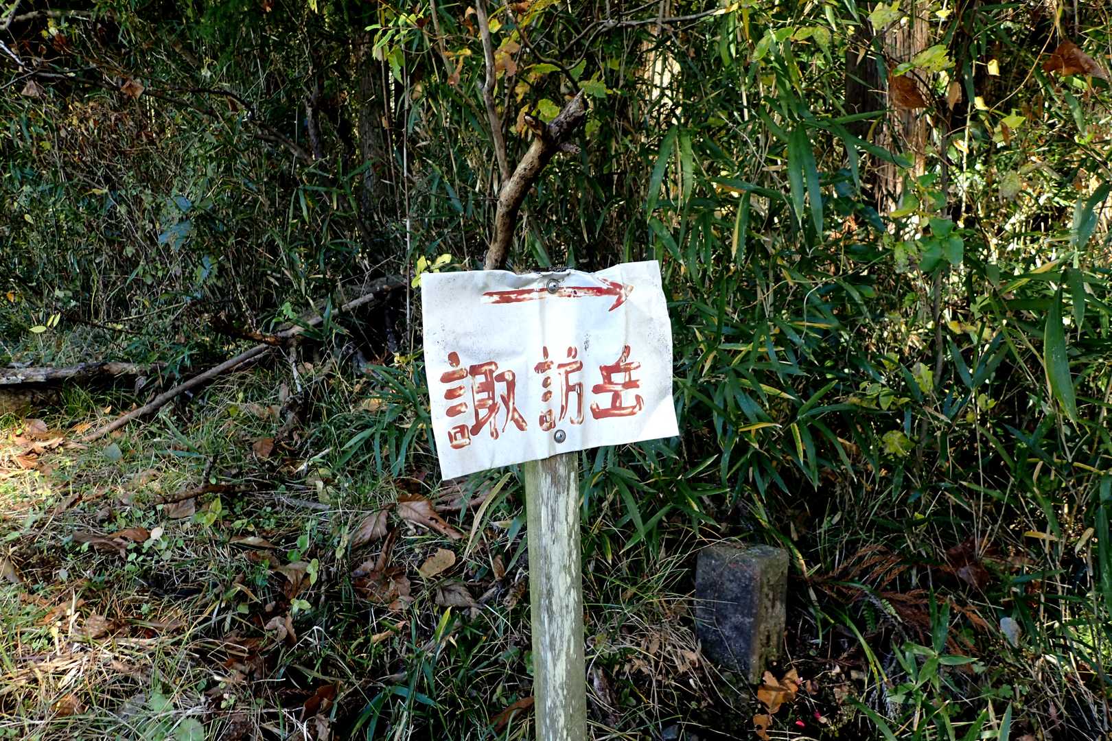 からのぉ～
散財後は近くの栃百を歩く(*´ ³ `)ﾉ