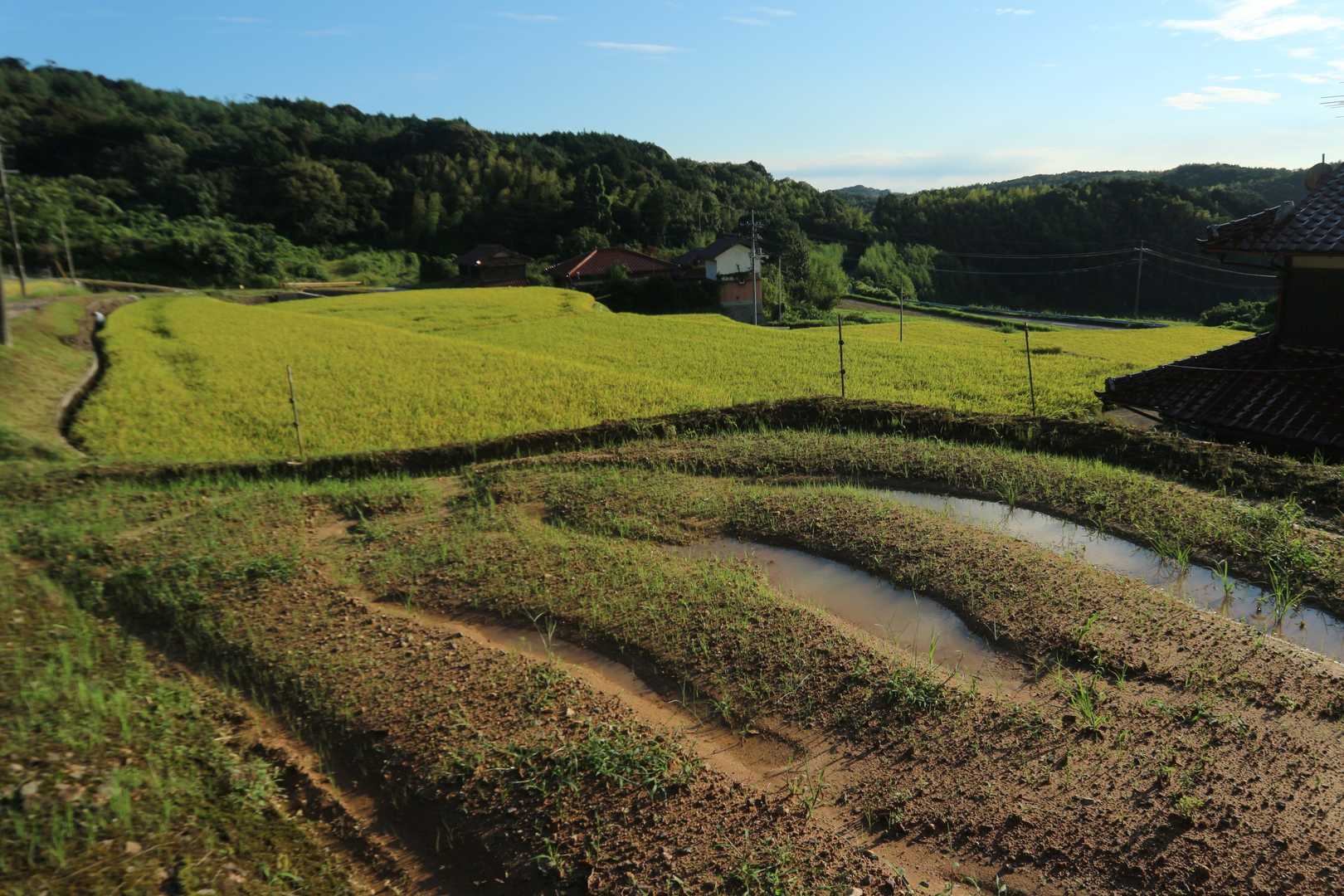 平原岳-宛木峠 往復コースの写真