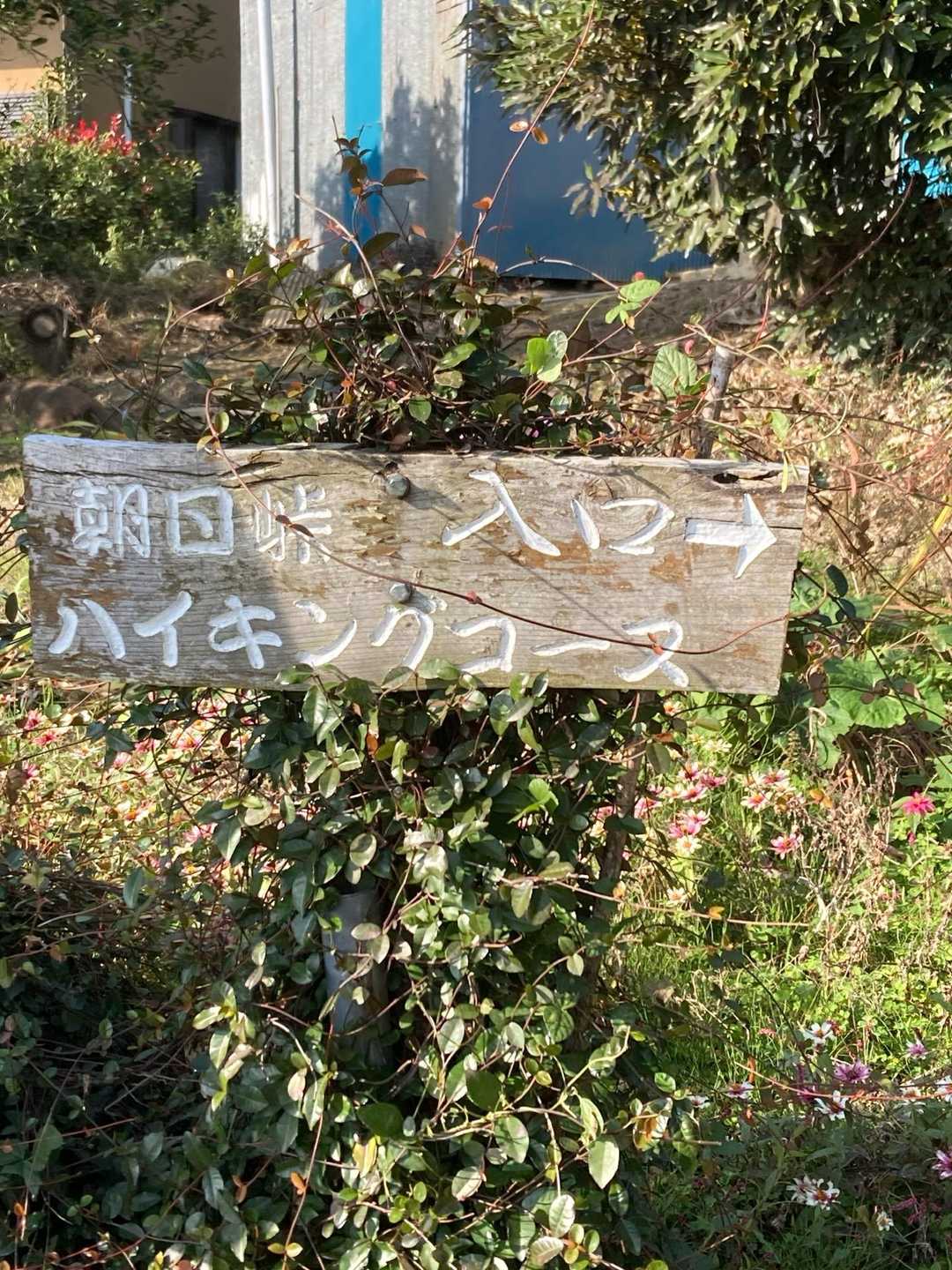 朝日峠ハイキングコース入口-小町山登山口入口-小町山 往復コースの写真