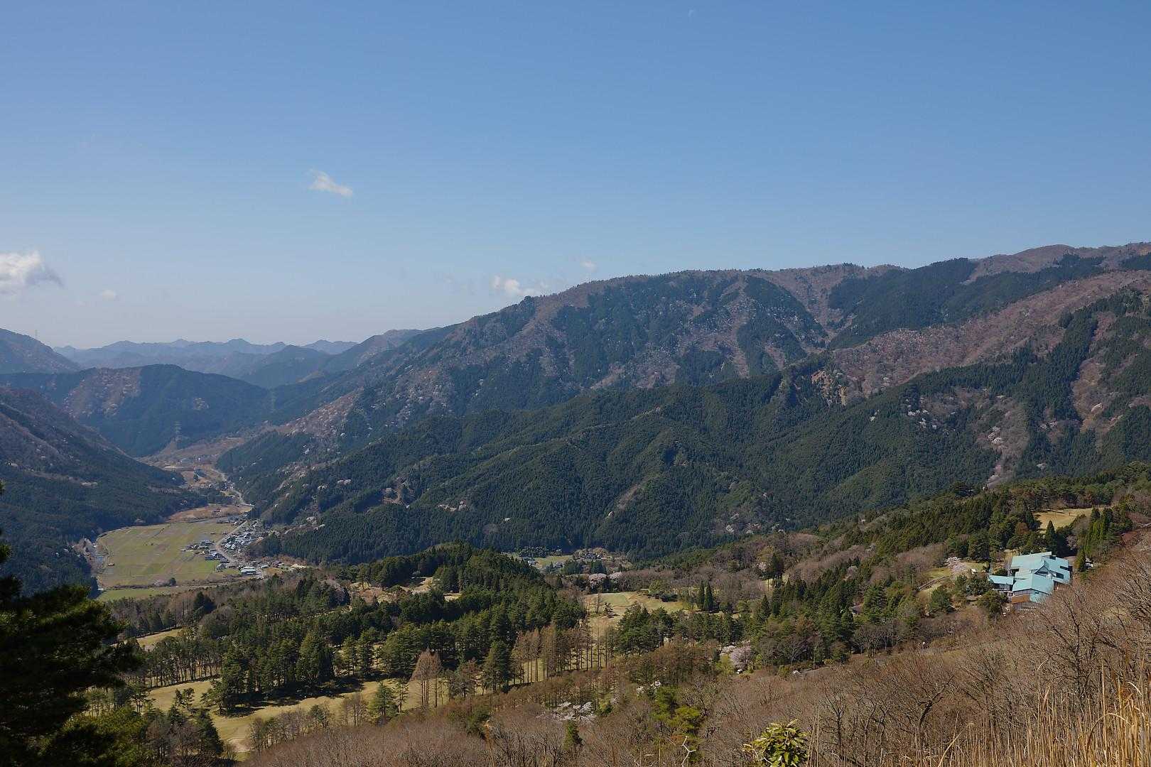 少し登っただけでこの眺め✌️