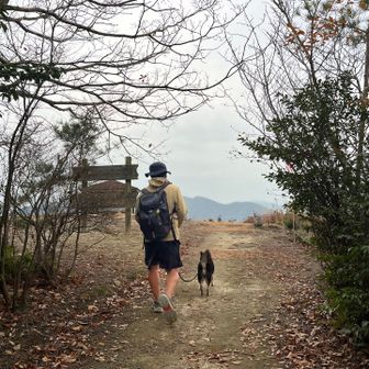 むさしパパさんと、むさし君、

阿伏兎山、到着。

むさしパパさんは、ゴミを拾いながら歩かれてた。私も見習わなくちゃ。