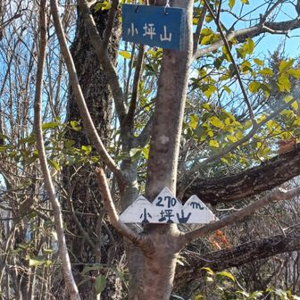 やっと山だ〰️