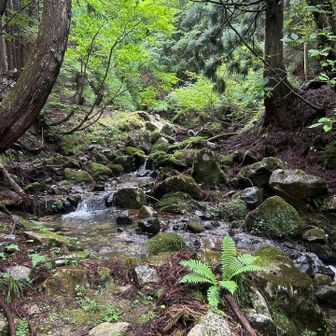 橋がないところも何ヶ所かある　
水量が然程なかったのでよかった