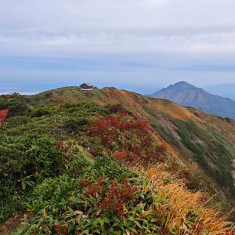 中ノ岳避難小屋と越後駒ヶ岳