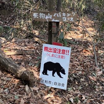 お互いに会わなくてよかったね！