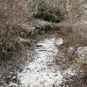 　　　雪道でテンション上がる🐢🎶

　　　歩くスピードはあがらない😂