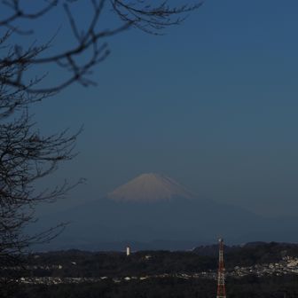 富士山！