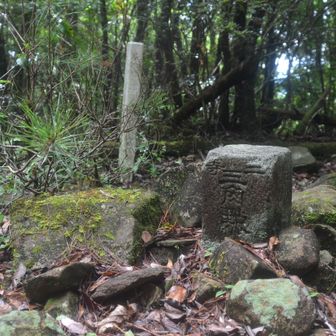 分領山（西峰）のピーク
ヤマップの地図に山頂として登録されているのはここ