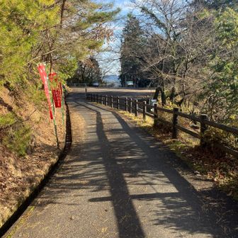 🅿️へと続く参道を下ります。