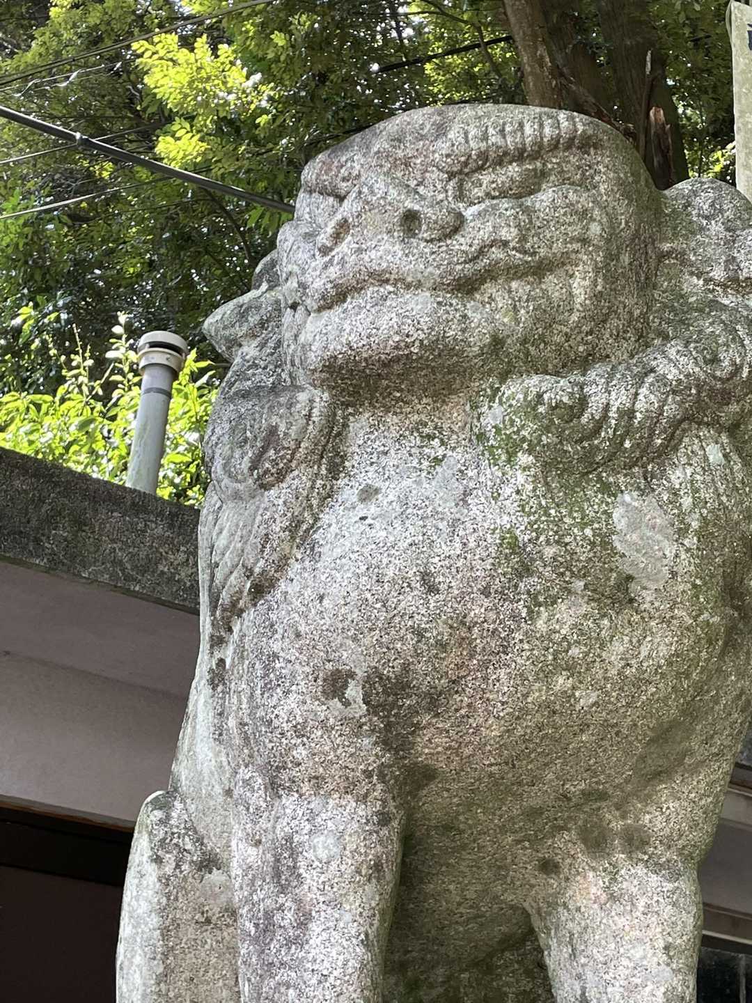 こちらは凛々しい