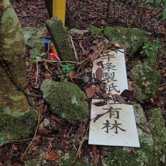 ここを右に曲がる
真っすぐ行くと鉄塔あり