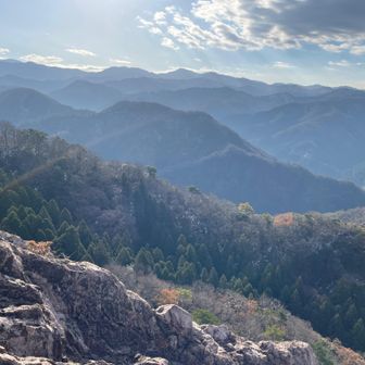 珈琲味わいながら