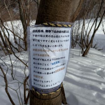 田尻尾根からスキー場への分岐⛷️