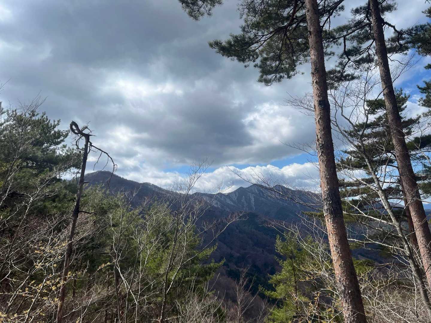 入道山-秋山峠-赤鞍ヶ岳-岩戸ノ峰-本坂峠-ブドウ岩ノ頭- 周回コースの写真