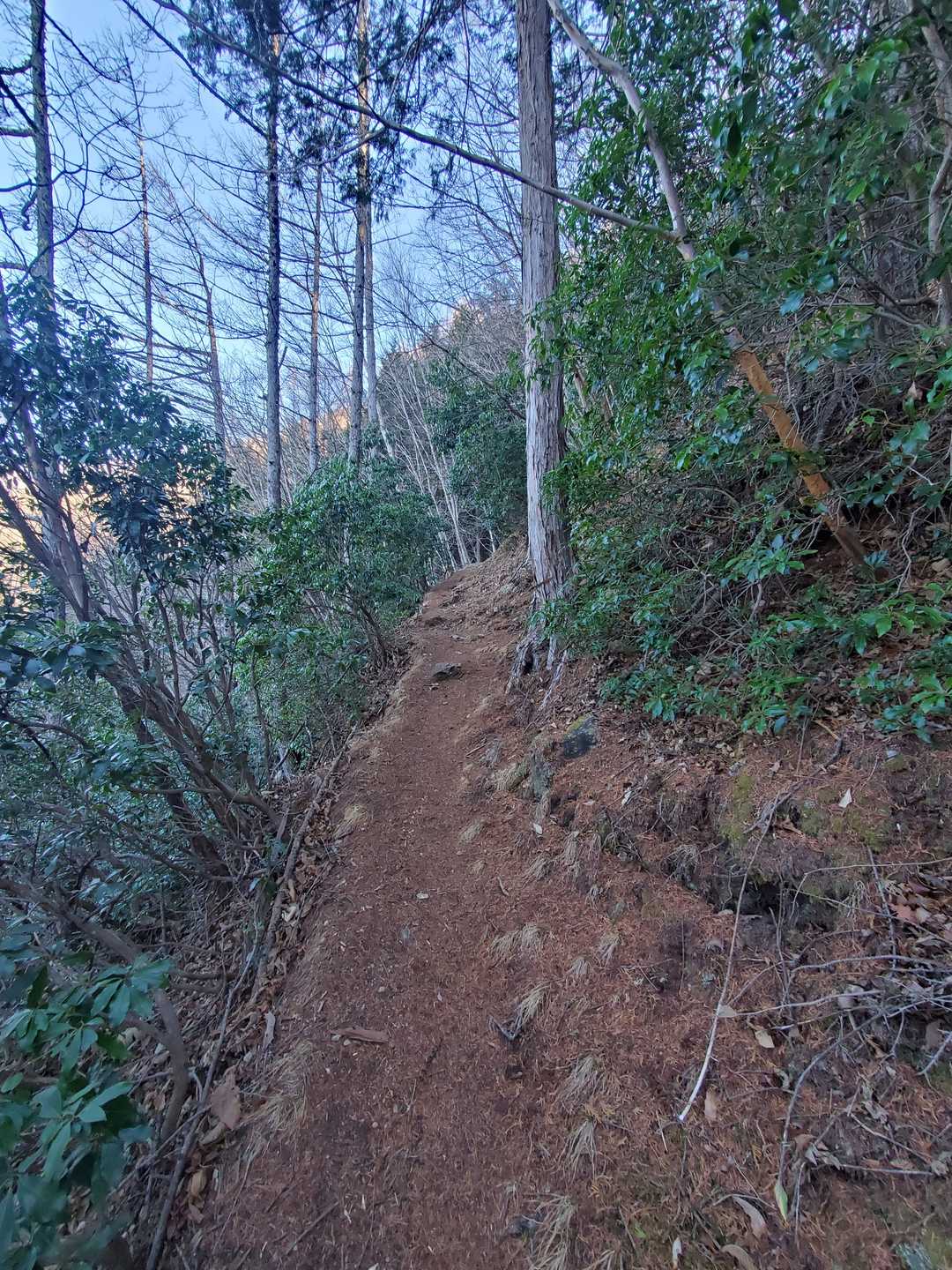 人一人通れそな尾根道が可愛いんです😍