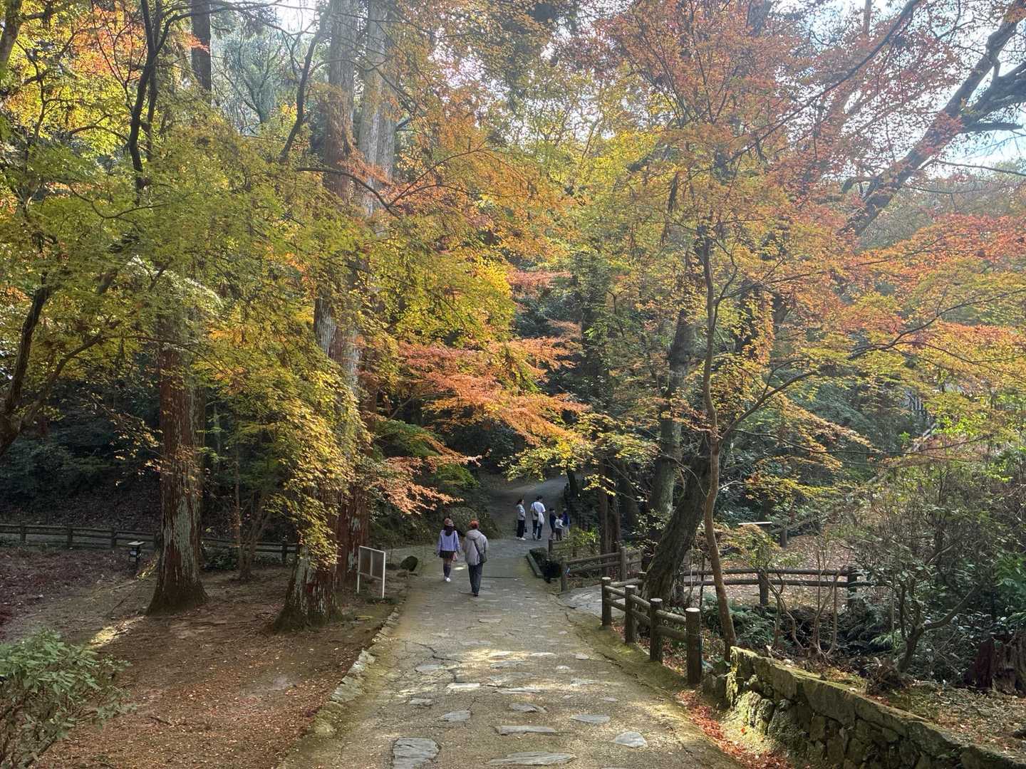 清水寺-清水山-清水山-永興寺 周回コースの写真
